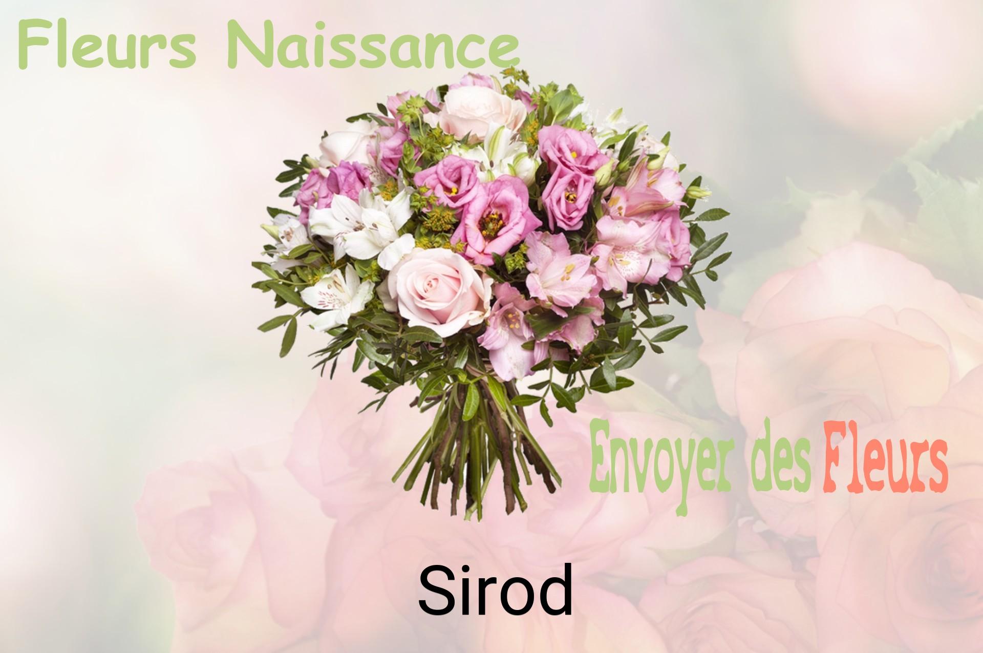 Bouquet de fleurs de naissance livré à Sirod