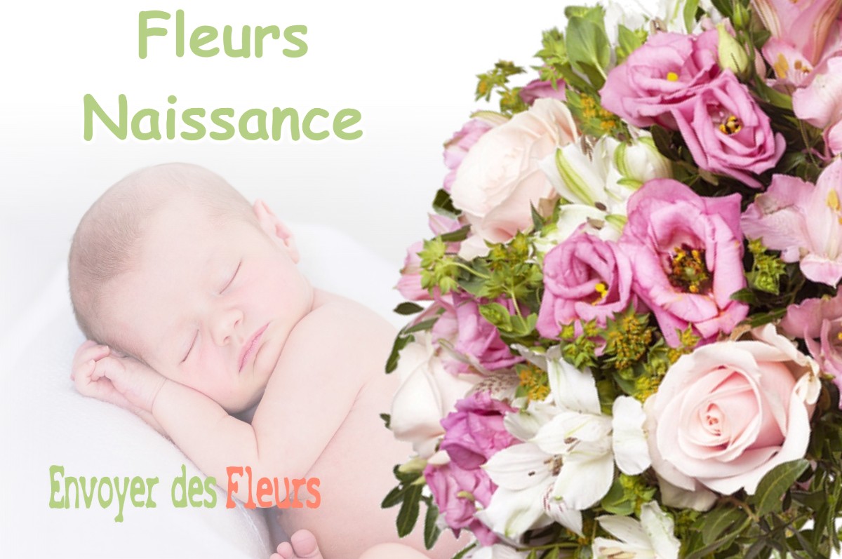 lIVRAISON FLEURS NAISSANCE à SIROD